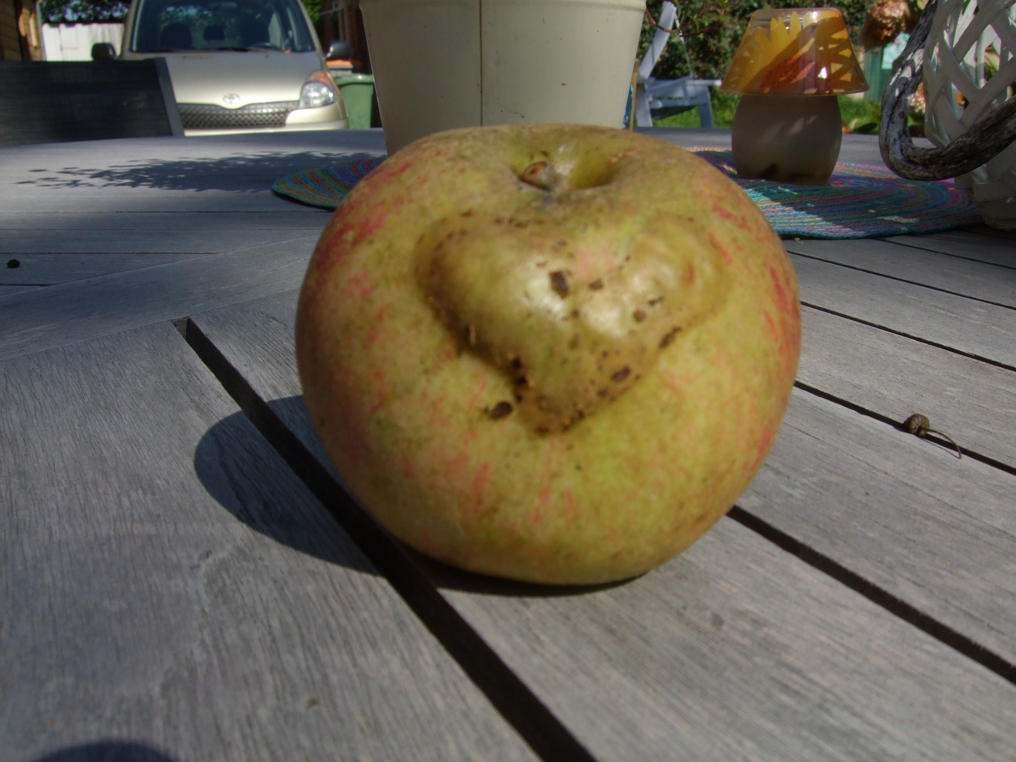 front photo folder natuur_rondom_de_zonnedruppel