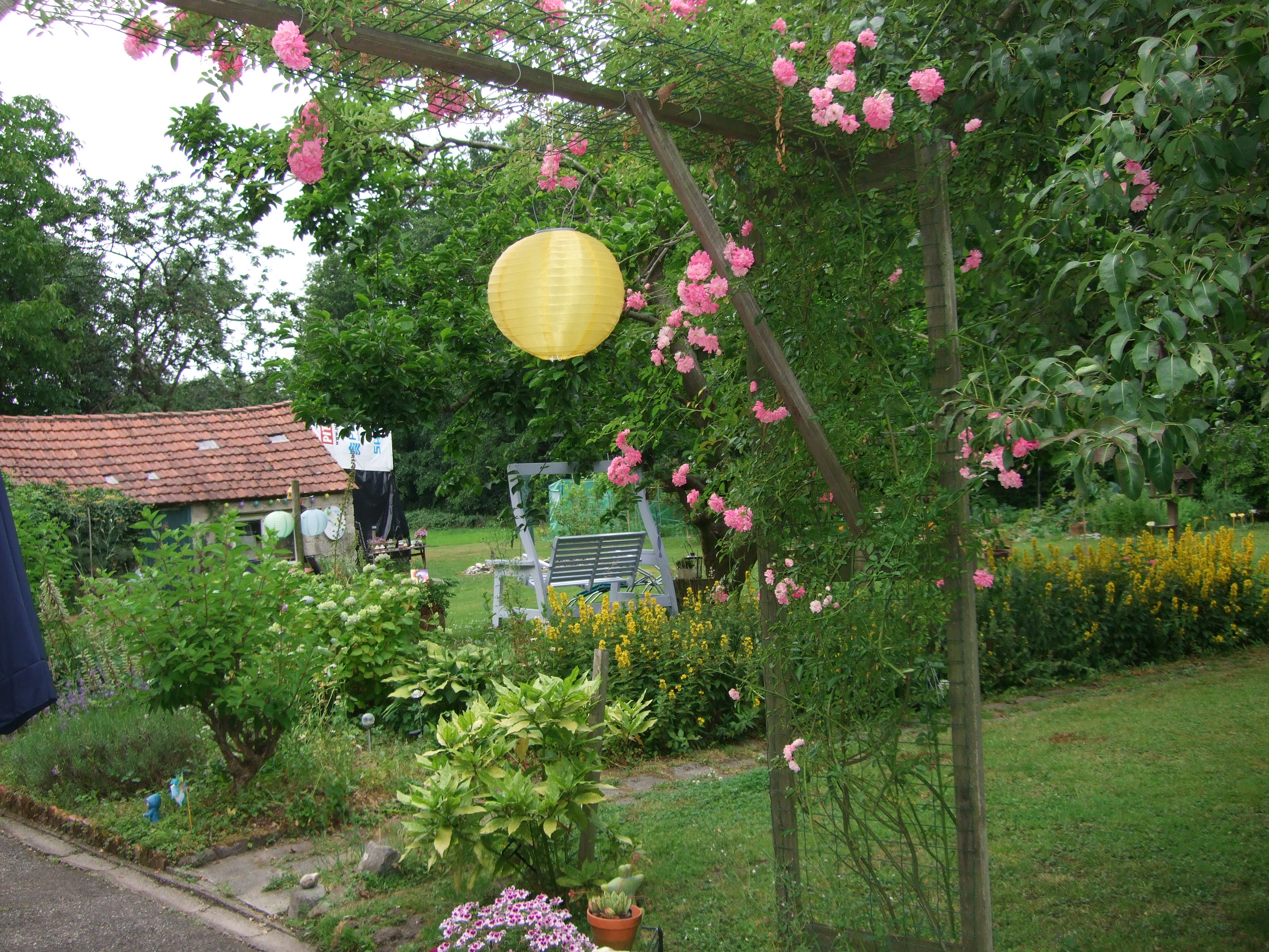 front photo folder natuur_rondom_de_zonnedruppel